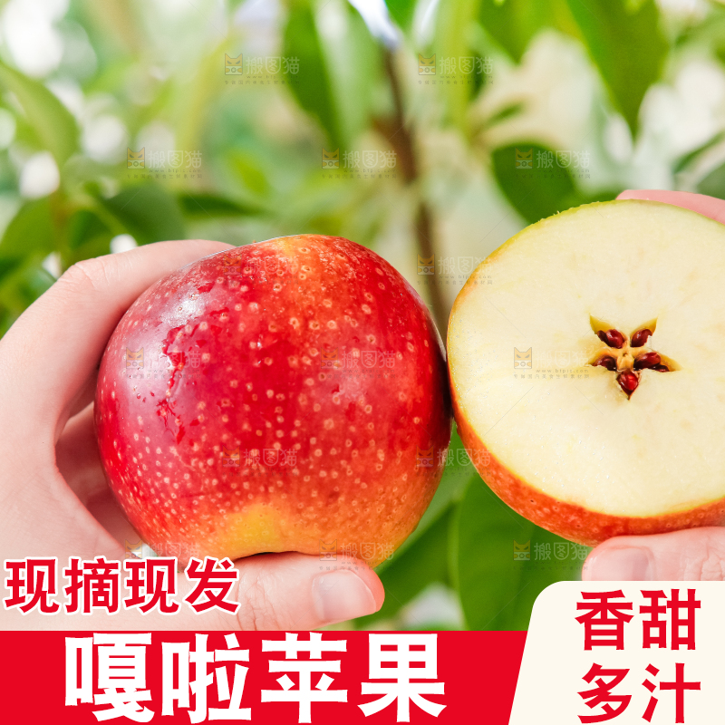手里拿着嘎啦苹果