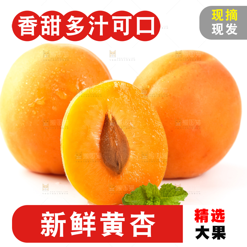 白底上放着陕西新鲜大黄杏