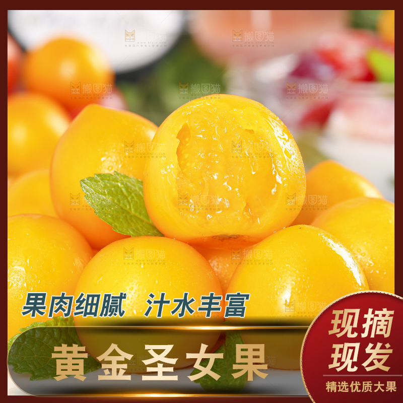 白底上摆放着山东黄金小番茄