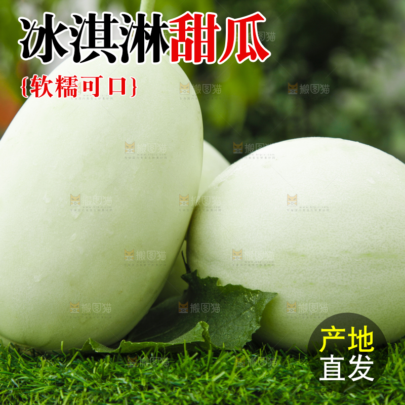 绿草地上摆放着玉菇甜瓜