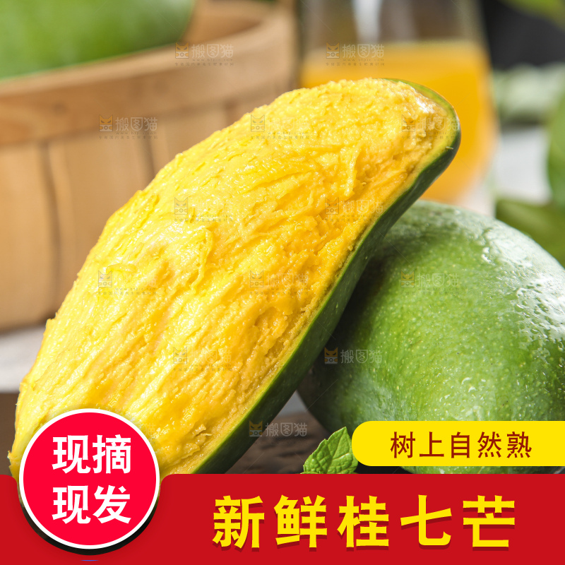 石板上的青皮桂七芒