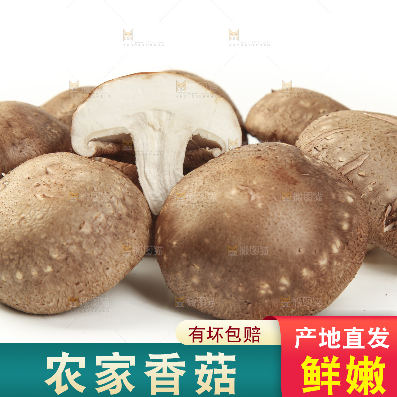 白底上放着香菇