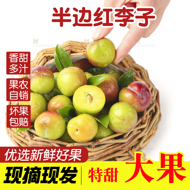 篮子里装着茵红脱骨李