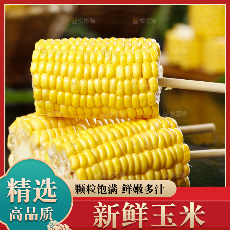 石板上放着黄玉米
