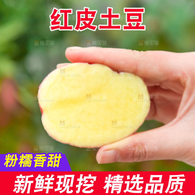 手里拿着土豆