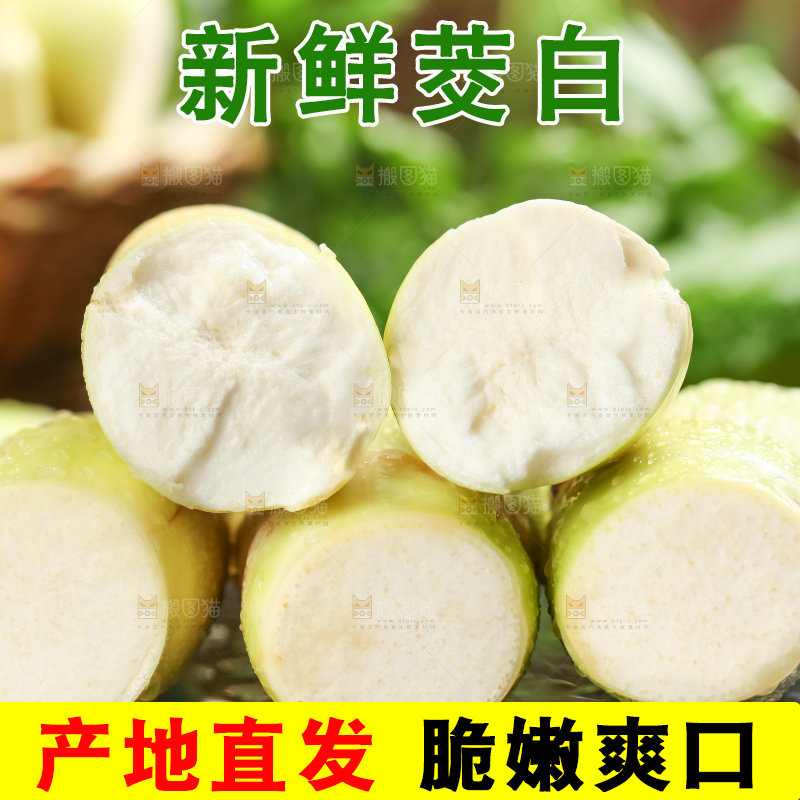 石板上的云南茭白