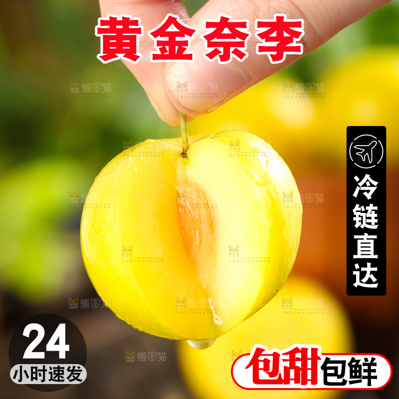 手里拿着黄金奈李