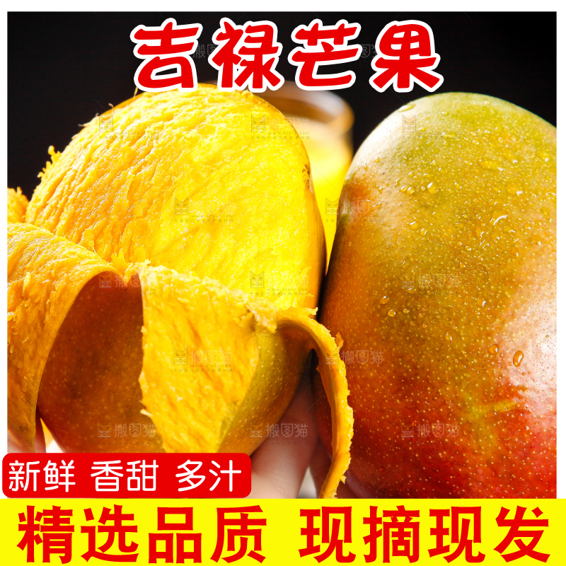 手里拿着四川吉禄芒