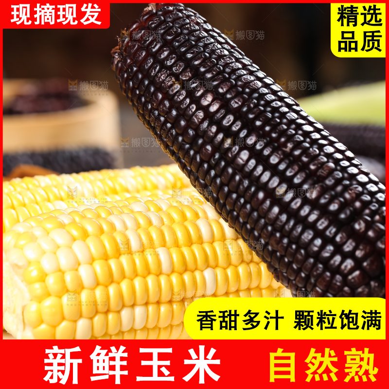 盘子里放着新鲜玉米