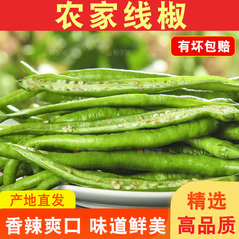 盘子里装着二荆条辣椒