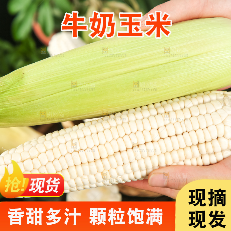 手里拿着白玉米