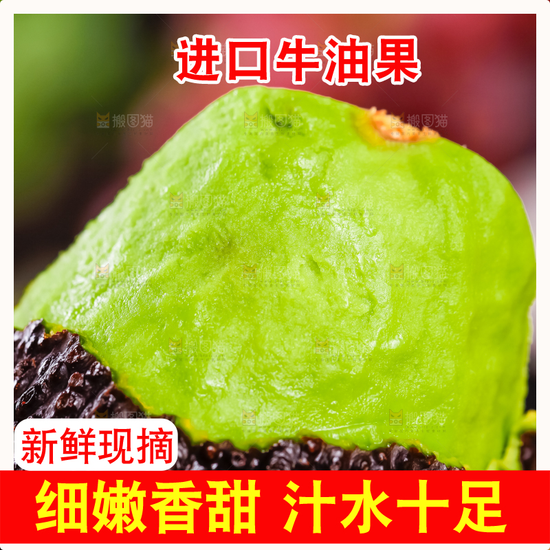 浅底上的巨无霸牛油果