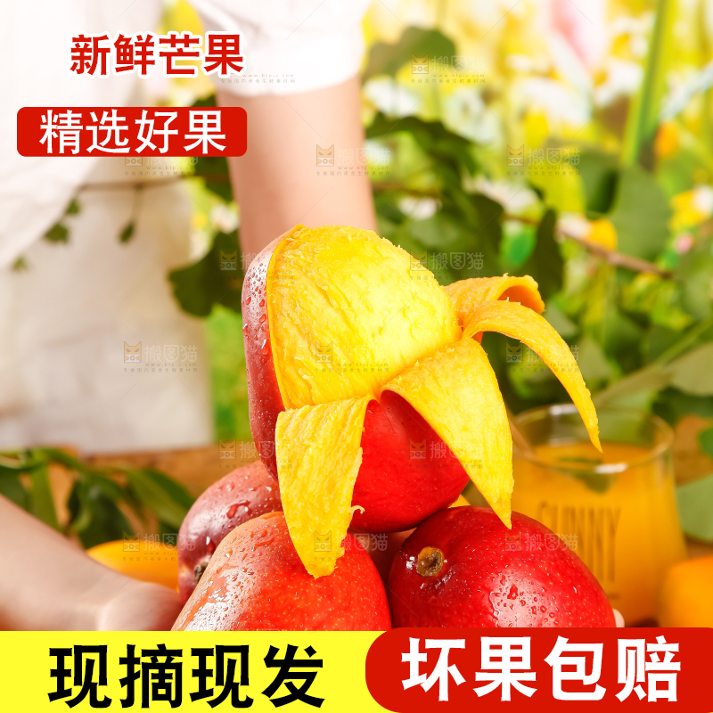 手里拿着吉禄芒果