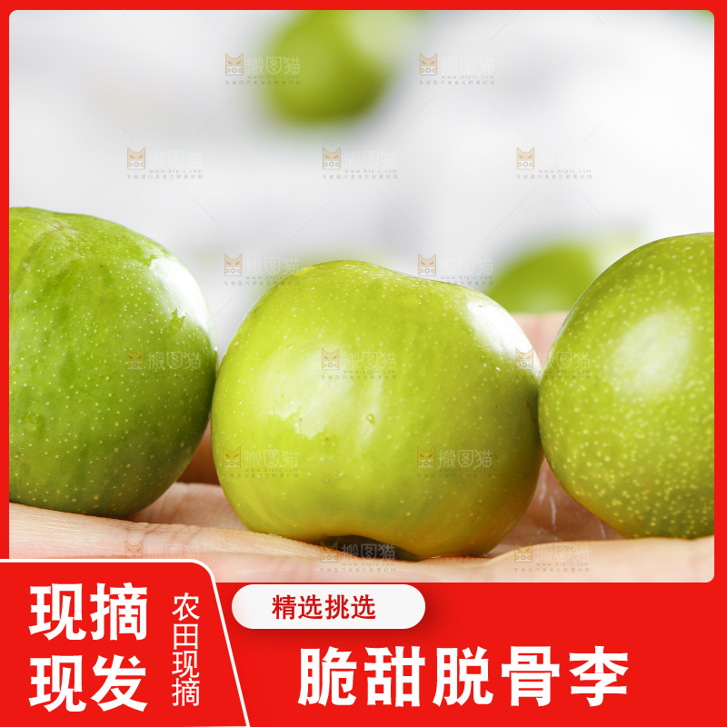 手里拿着新鲜李子