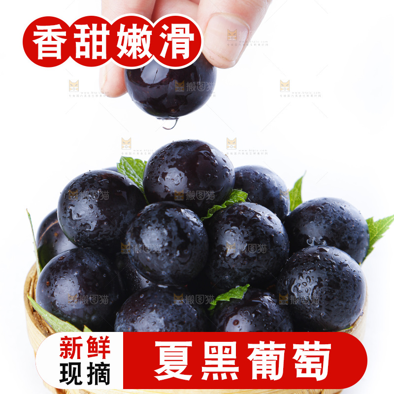 手里拿着黑加仑葡萄