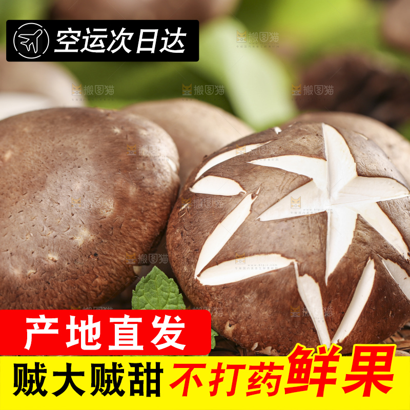 编织垫上放着香菇