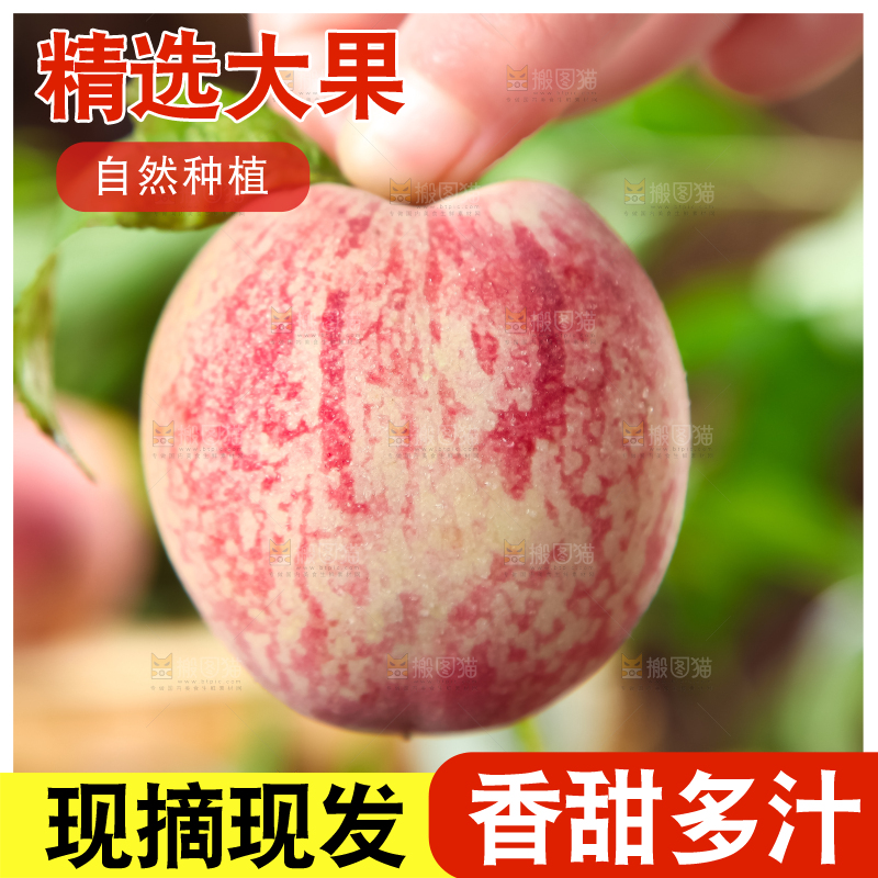 手上拿着湖北胭脂红桃子