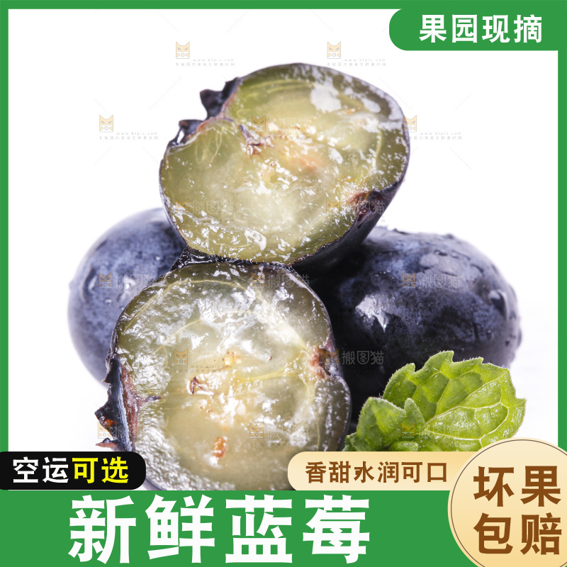 白底上摆放着进口蓝莓