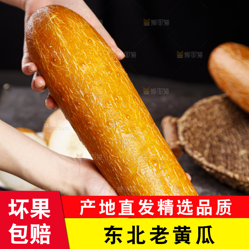 深底上的老黄瓜