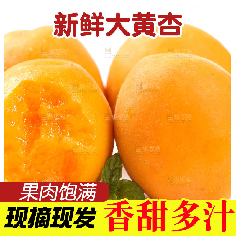 白底上摆放着杏子