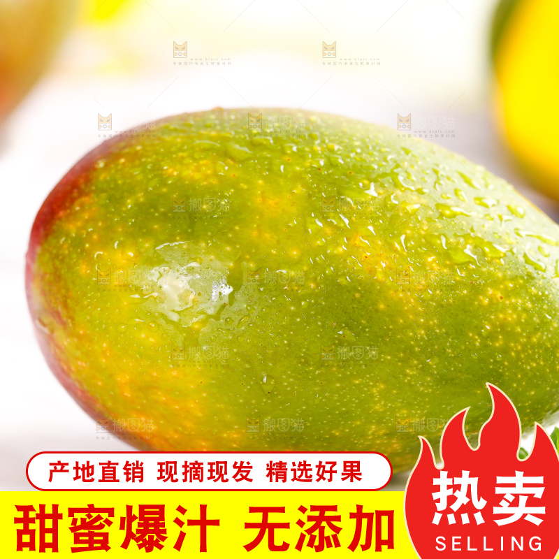 白底上放着吉禄芒