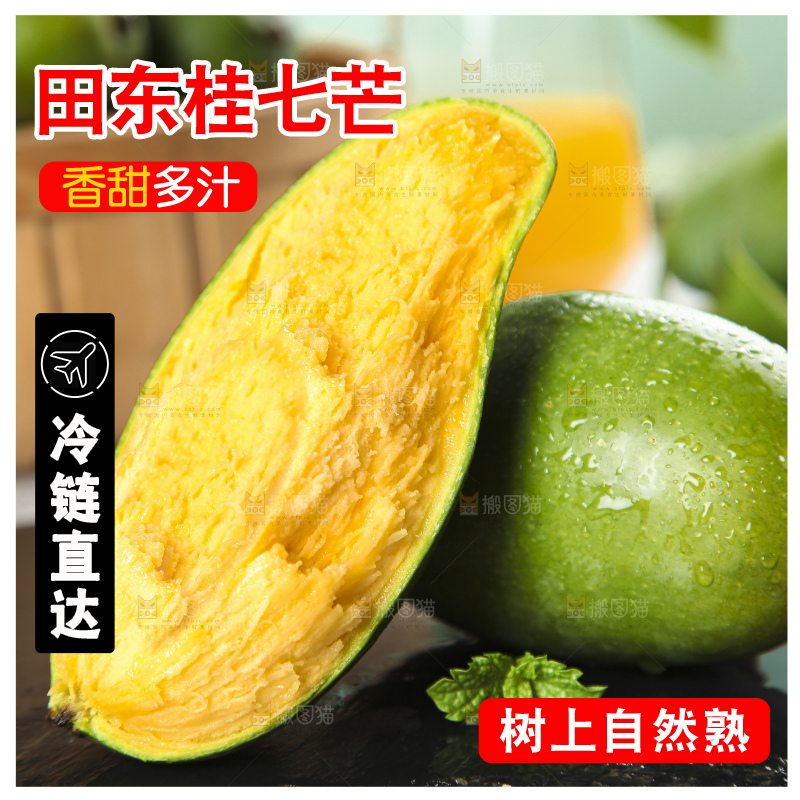 石板上的青皮桂七芒