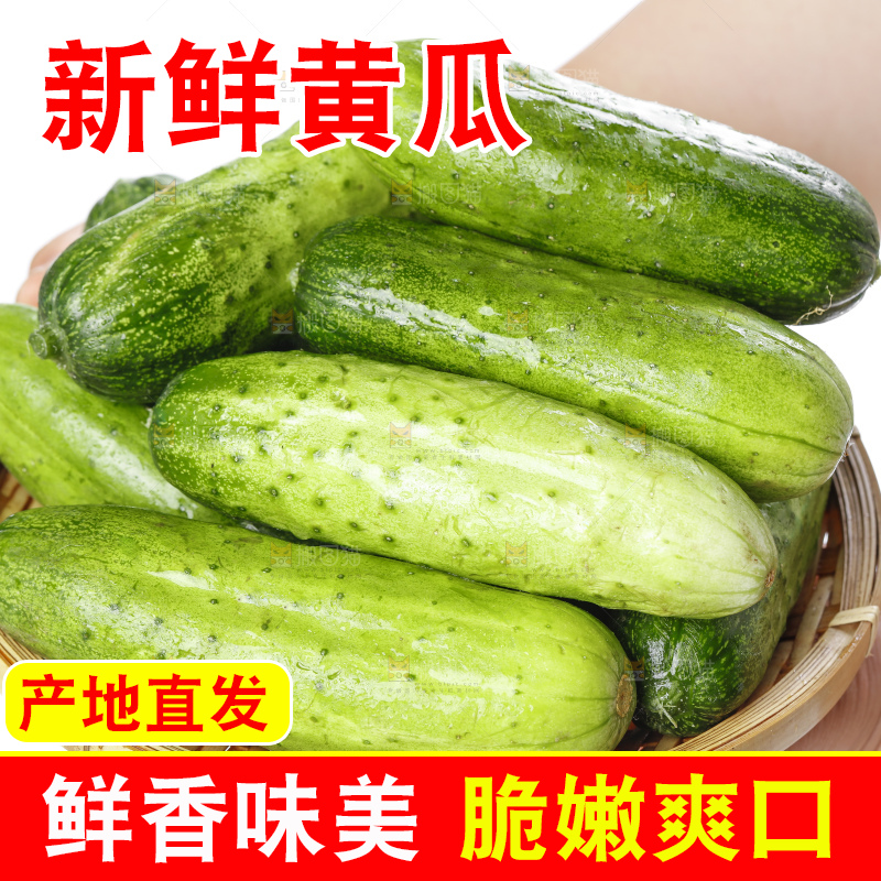 篮子里装着蔬菜黄瓜