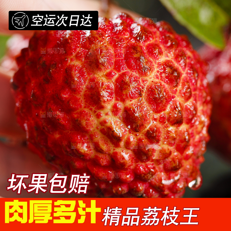 手里拿着荔枝王