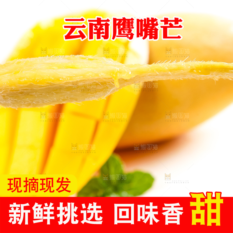 白底上放着云南鹰嘴芒