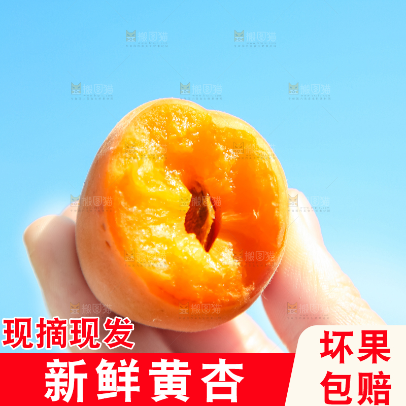 手里拿着杏子