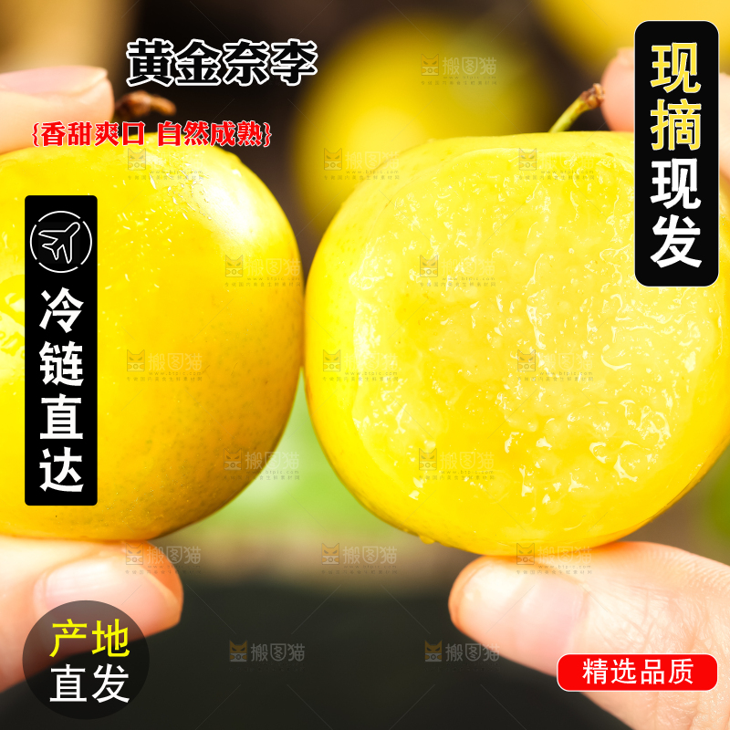 手里拿着黄金奈李