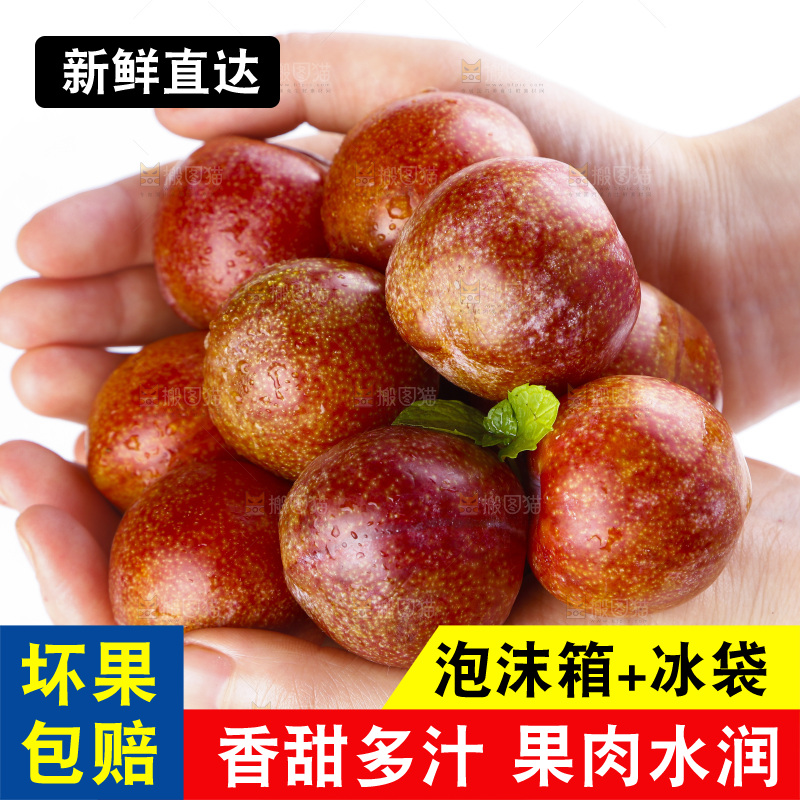 手里捧着钱排三华李