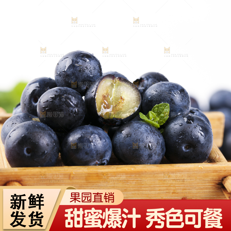 格子底上摆放着长白山蓝莓