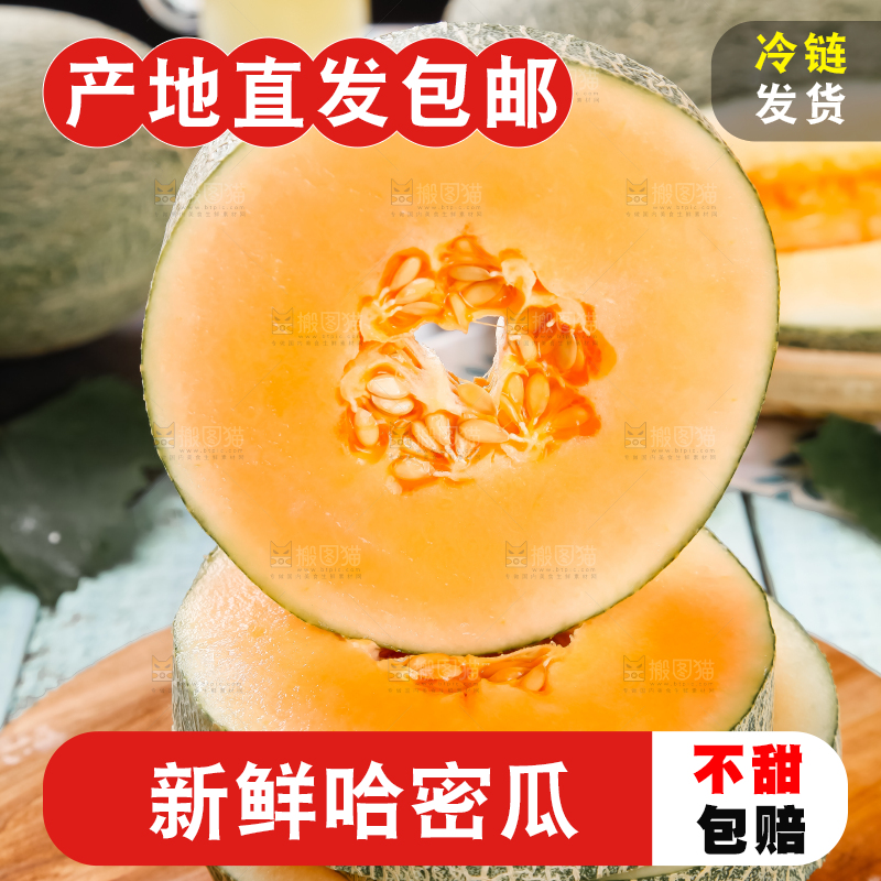 木底上摆放着网纹瓜