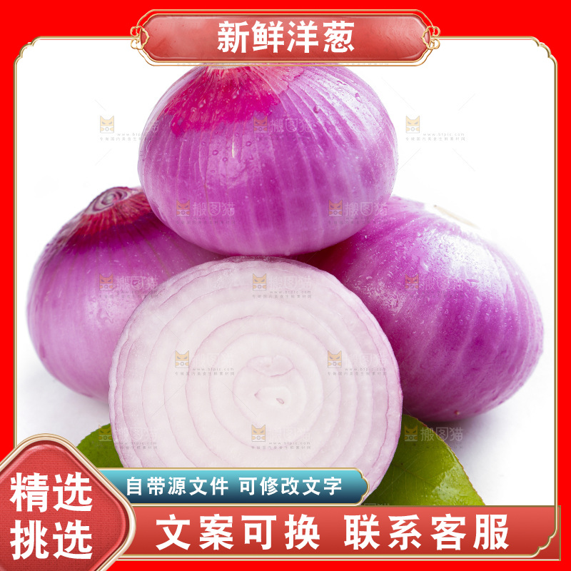 白底上的新鲜洋葱