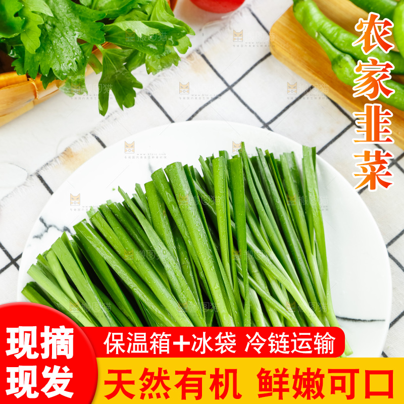 盘子里装着嫩韭菜