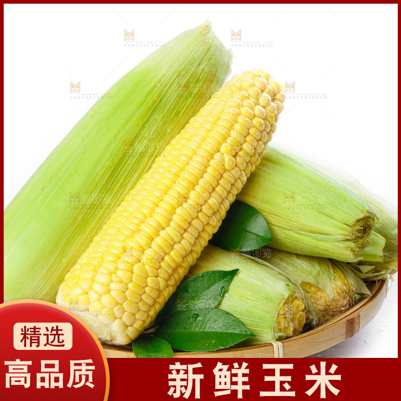篮子子装着玉米棒