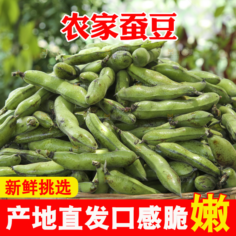 篮子里装着青胡豆