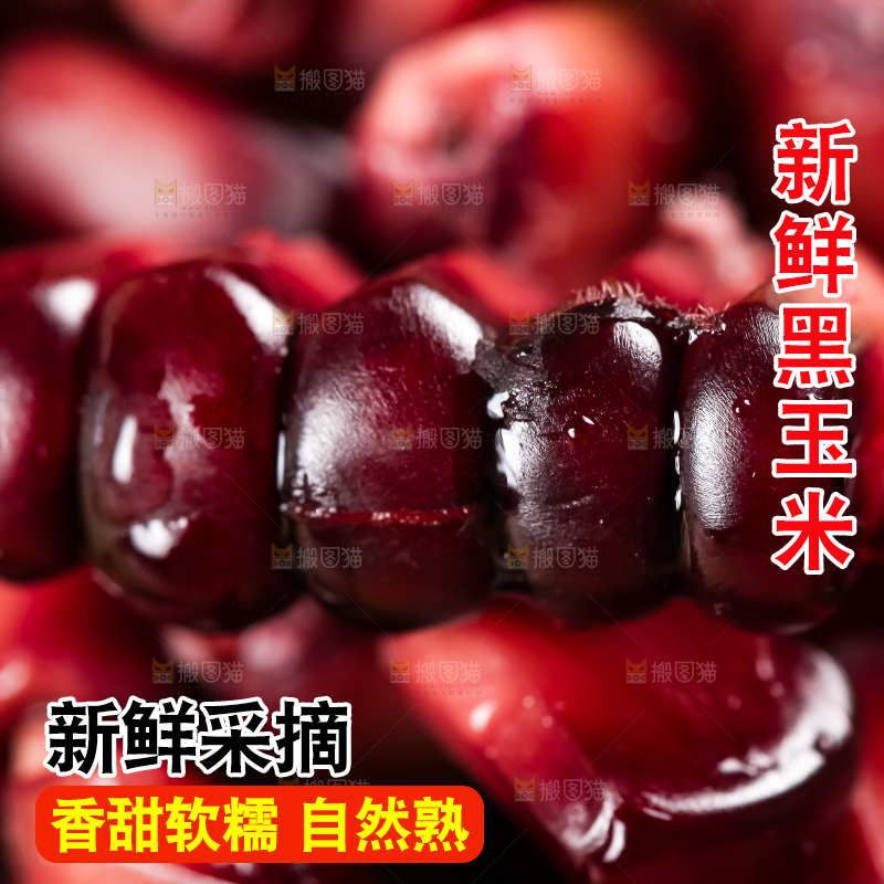木底上摆放着紫玉米粒