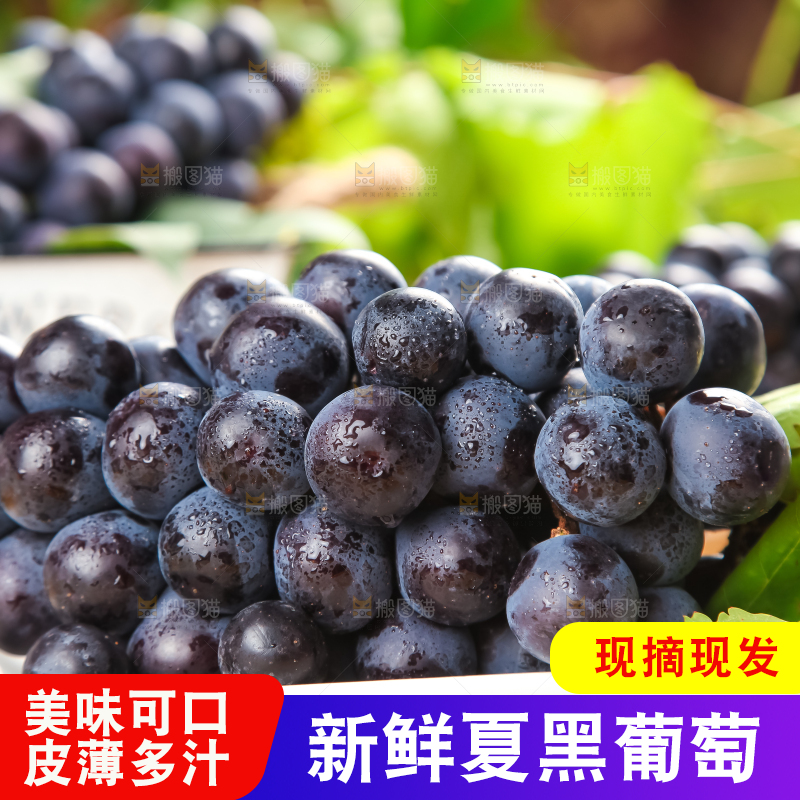 白格子底上放着夏黑葡萄