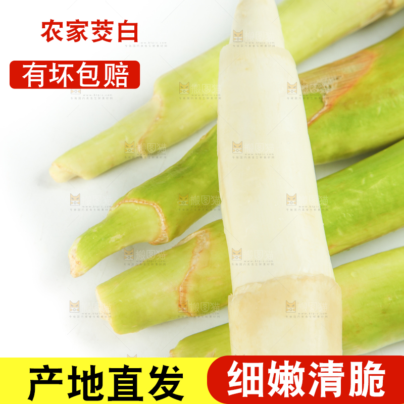 白底上摆放着茭笋