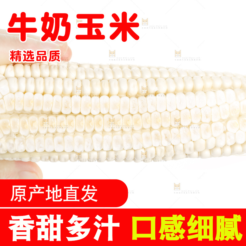 手里拿着白玉米