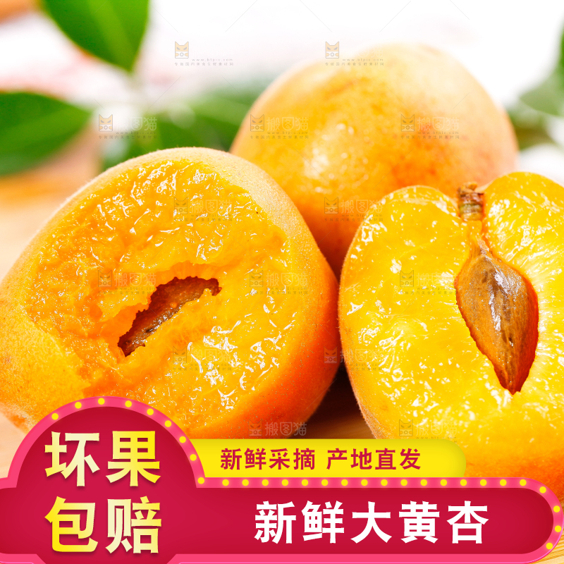 木底上放着新鲜大黄杏