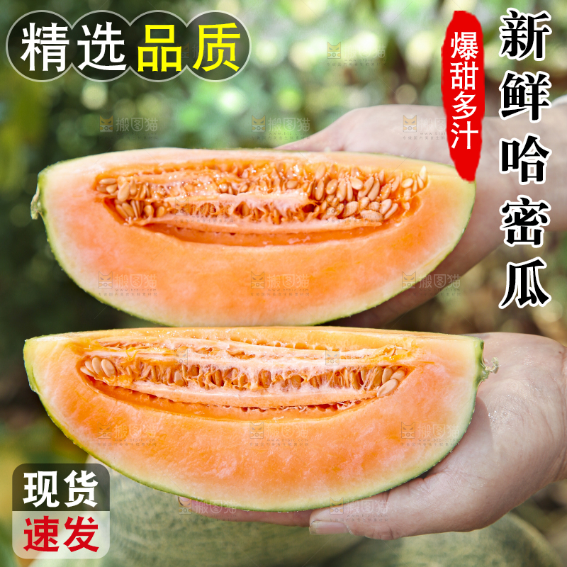 哈密瓜主图