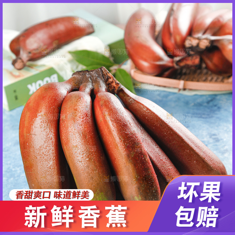 蓝底上摆放着红皮美人蕉