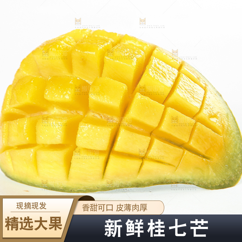 白底上的桂七香芒