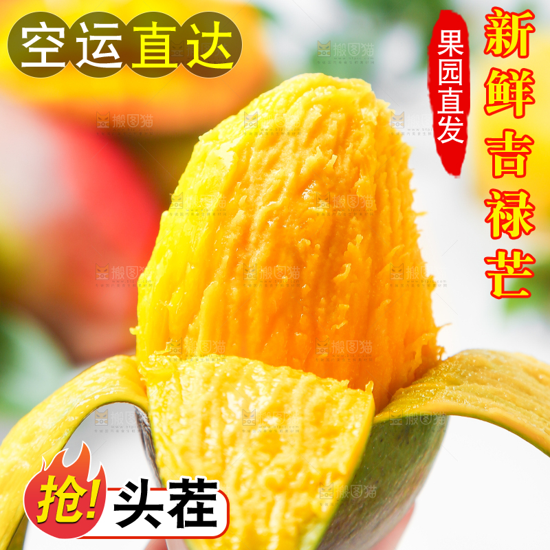 白石板上摆放着四川吉禄芒