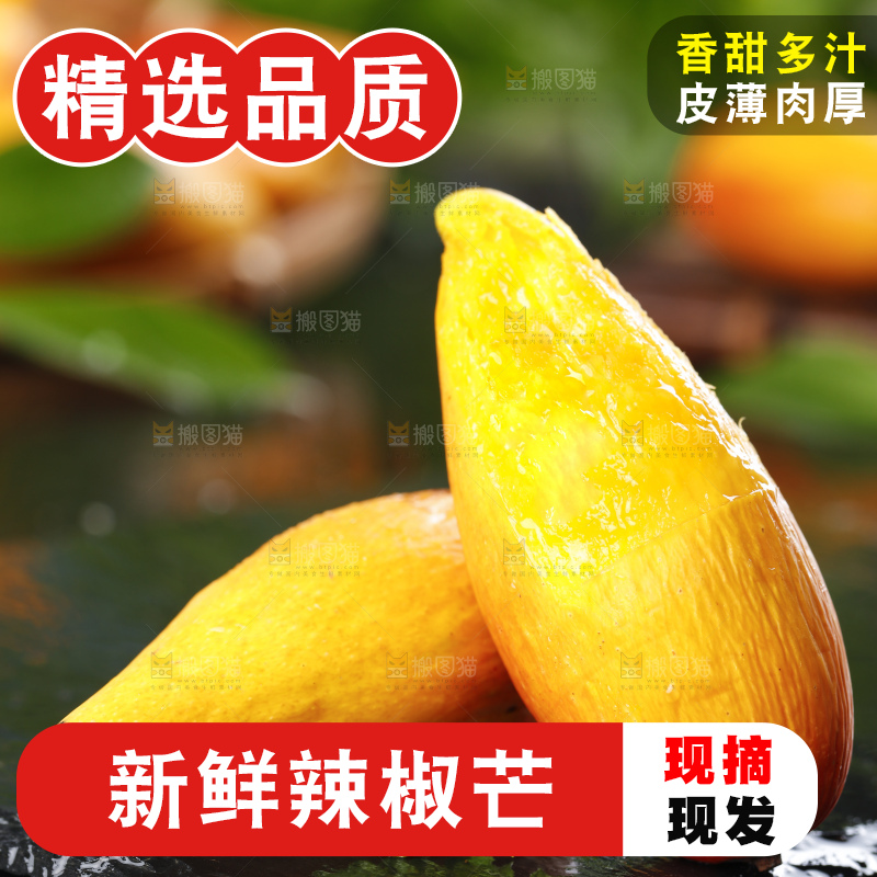 石板上的牙签芒