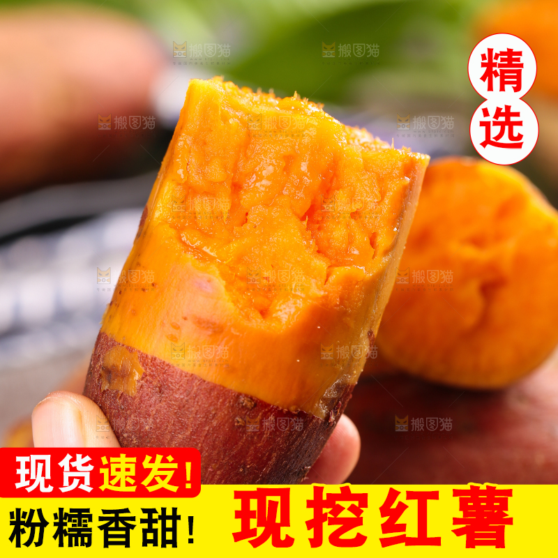 手上拿着福建六鳌蜜薯