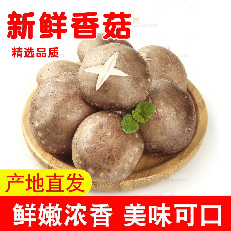 盘子里装着新鲜香菇